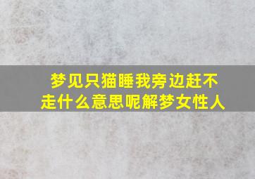 梦见只猫睡我旁边赶不走什么意思呢解梦女性人