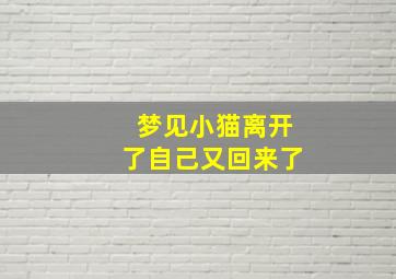 梦见小猫离开了自己又回来了