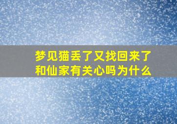 梦见猫丢了又找回来了和仙家有关心吗为什么