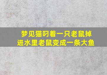 梦见猫叼着一只老鼠掉进水里老鼠变成一条大鱼