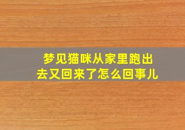 梦见猫咪从家里跑出去又回来了怎么回事儿