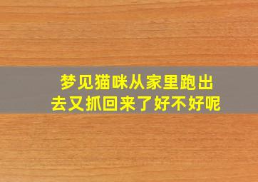 梦见猫咪从家里跑出去又抓回来了好不好呢