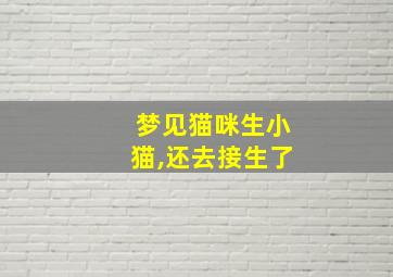 梦见猫咪生小猫,还去接生了