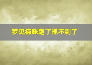 梦见猫咪跑了抓不到了