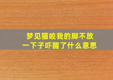 梦见猫咬我的脚不放一下子吓醒了什么意思