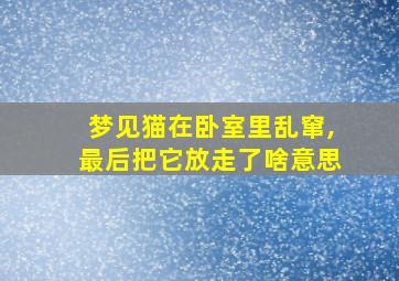 梦见猫在卧室里乱窜,最后把它放走了啥意思