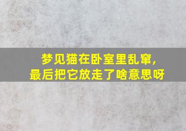 梦见猫在卧室里乱窜,最后把它放走了啥意思呀