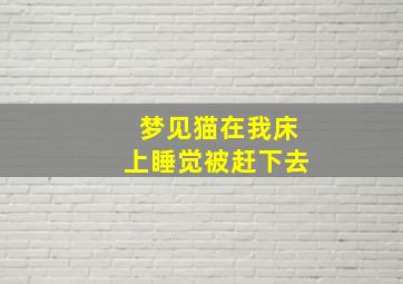 梦见猫在我床上睡觉被赶下去