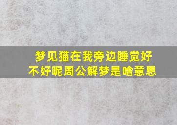 梦见猫在我旁边睡觉好不好呢周公解梦是啥意思