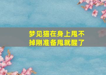 梦见猫在身上甩不掉刚准备甩就醒了