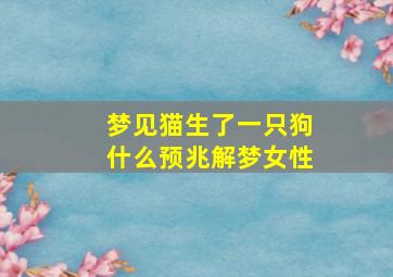 梦见猫生了一只狗什么预兆解梦女性