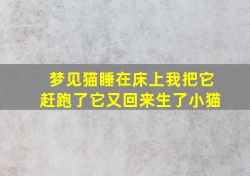 梦见猫睡在床上我把它赶跑了它又回来生了小猫