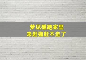 梦见猫跑家里来赶猫赶不走了