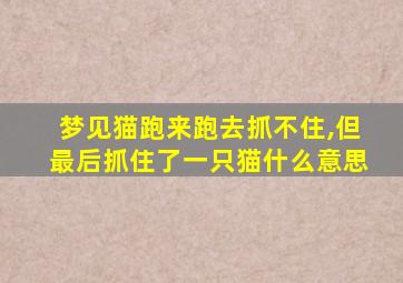 梦见猫跑来跑去抓不住,但最后抓住了一只猫什么意思