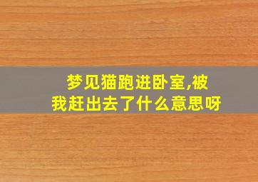 梦见猫跑进卧室,被我赶出去了什么意思呀