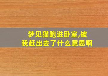 梦见猫跑进卧室,被我赶出去了什么意思啊