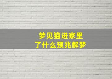 梦见猫进家里了什么预兆解梦