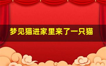 梦见猫进家里来了一只猫