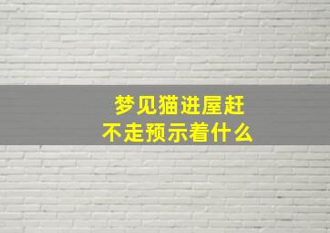 梦见猫进屋赶不走预示着什么