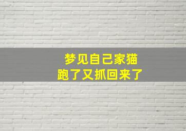 梦见自己家猫跑了又抓回来了