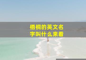 梧桐的英文名字叫什么来着