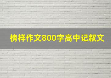 榜样作文800字高中记叙文