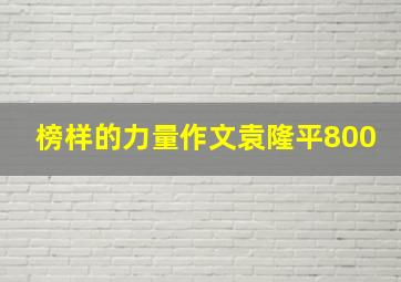 榜样的力量作文袁隆平800