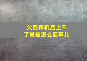 欠费停机后上不了微信怎么回事儿