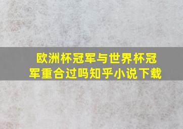 欧洲杯冠军与世界杯冠军重合过吗知乎小说下载