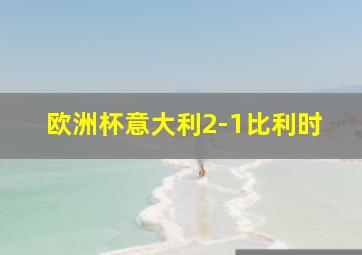 欧洲杯意大利2-1比利时