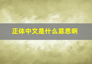 正体中文是什么意思啊