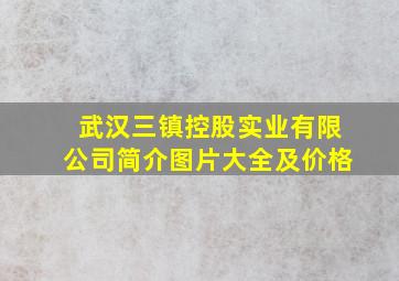 武汉三镇控股实业有限公司简介图片大全及价格