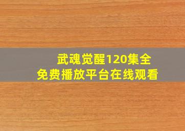 武魂觉醒120集全免费播放平台在线观看