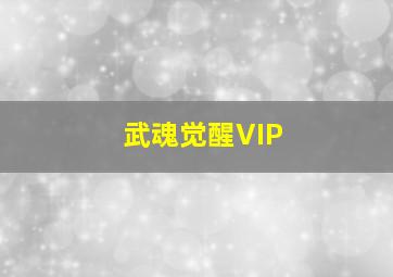 武魂觉醒VIP