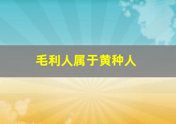 毛利人属于黄种人