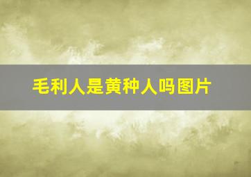 毛利人是黄种人吗图片