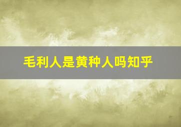 毛利人是黄种人吗知乎