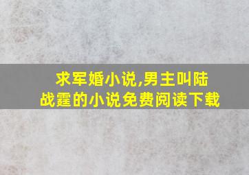 求军婚小说,男主叫陆战霆的小说免费阅读下载