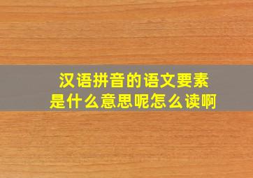 汉语拼音的语文要素是什么意思呢怎么读啊