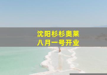 沈阳杉杉奥莱八月一号开业