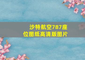 沙特航空787座位图纸高清版图片