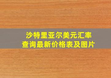 沙特里亚尔美元汇率查询最新价格表及图片