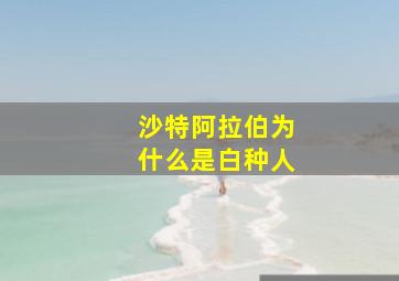 沙特阿拉伯为什么是白种人