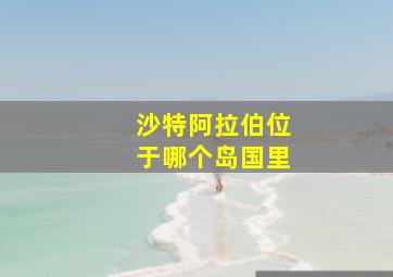 沙特阿拉伯位于哪个岛国里