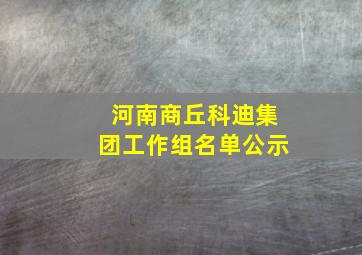 河南商丘科迪集团工作组名单公示