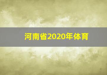 河南省2020年体育