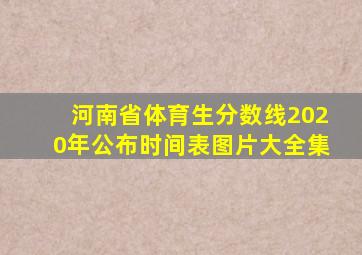 河南省体育生分数线2020年公布时间表图片大全集