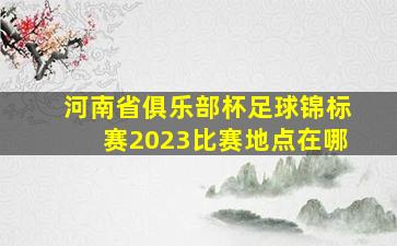 河南省俱乐部杯足球锦标赛2023比赛地点在哪