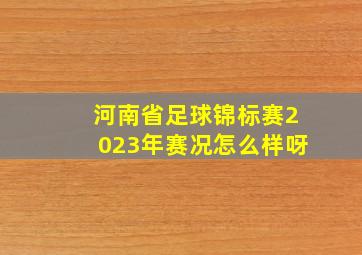 河南省足球锦标赛2023年赛况怎么样呀