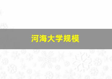 河海大学规模